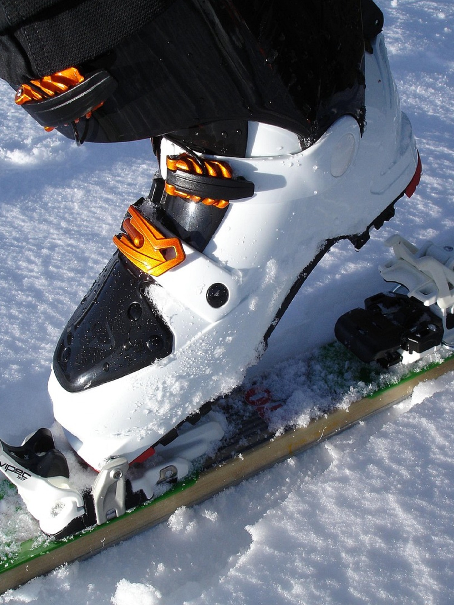 Salomon Xplore