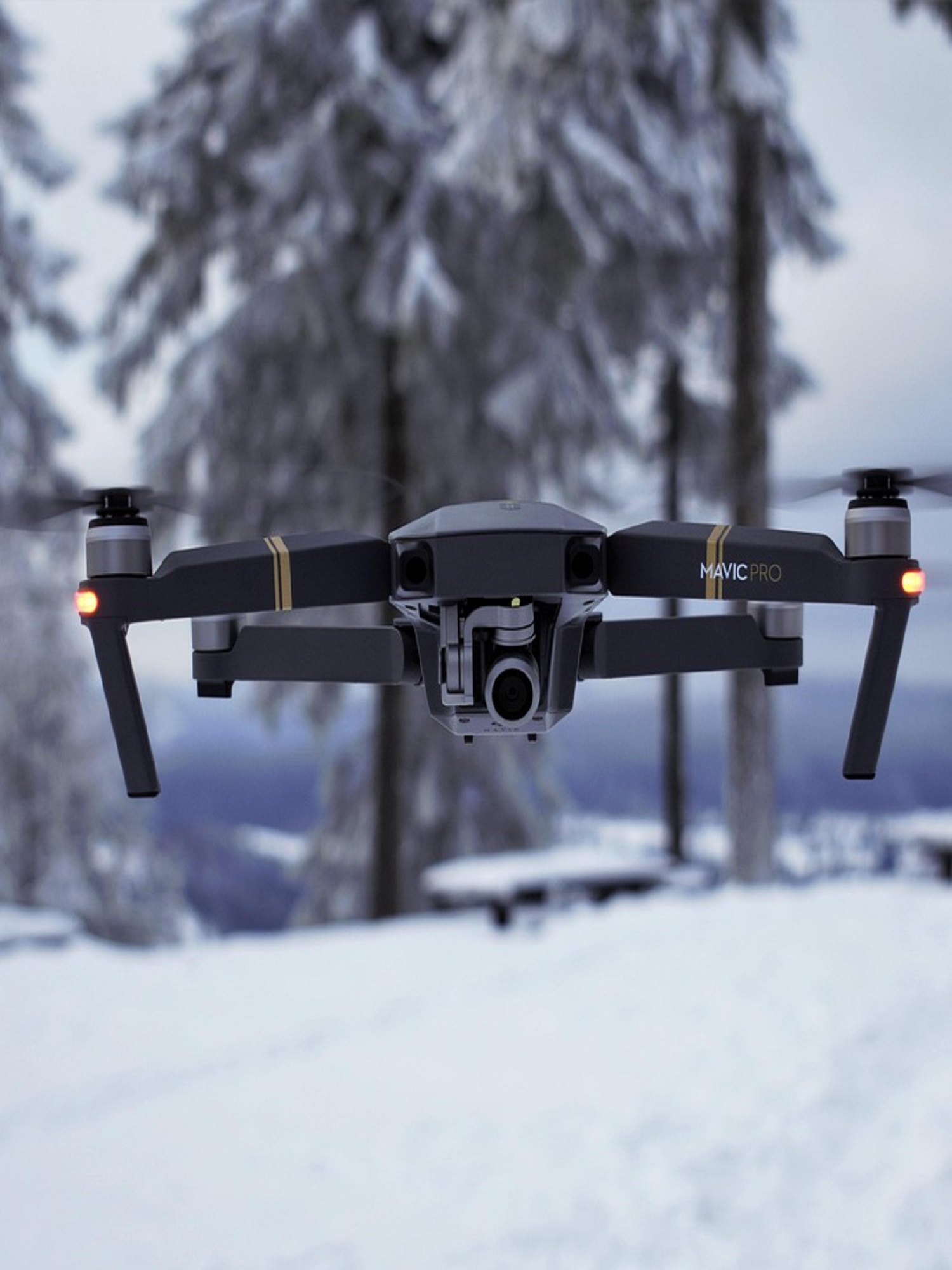 Ski Drone Mavic Pro