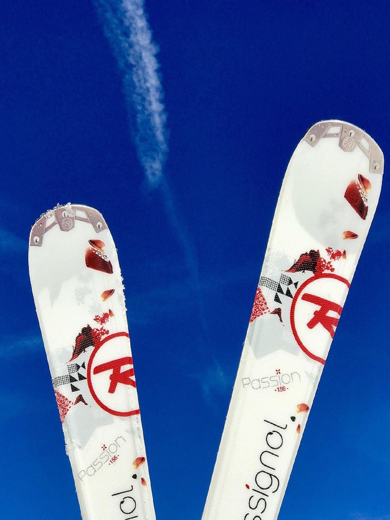 Rossignol Passion