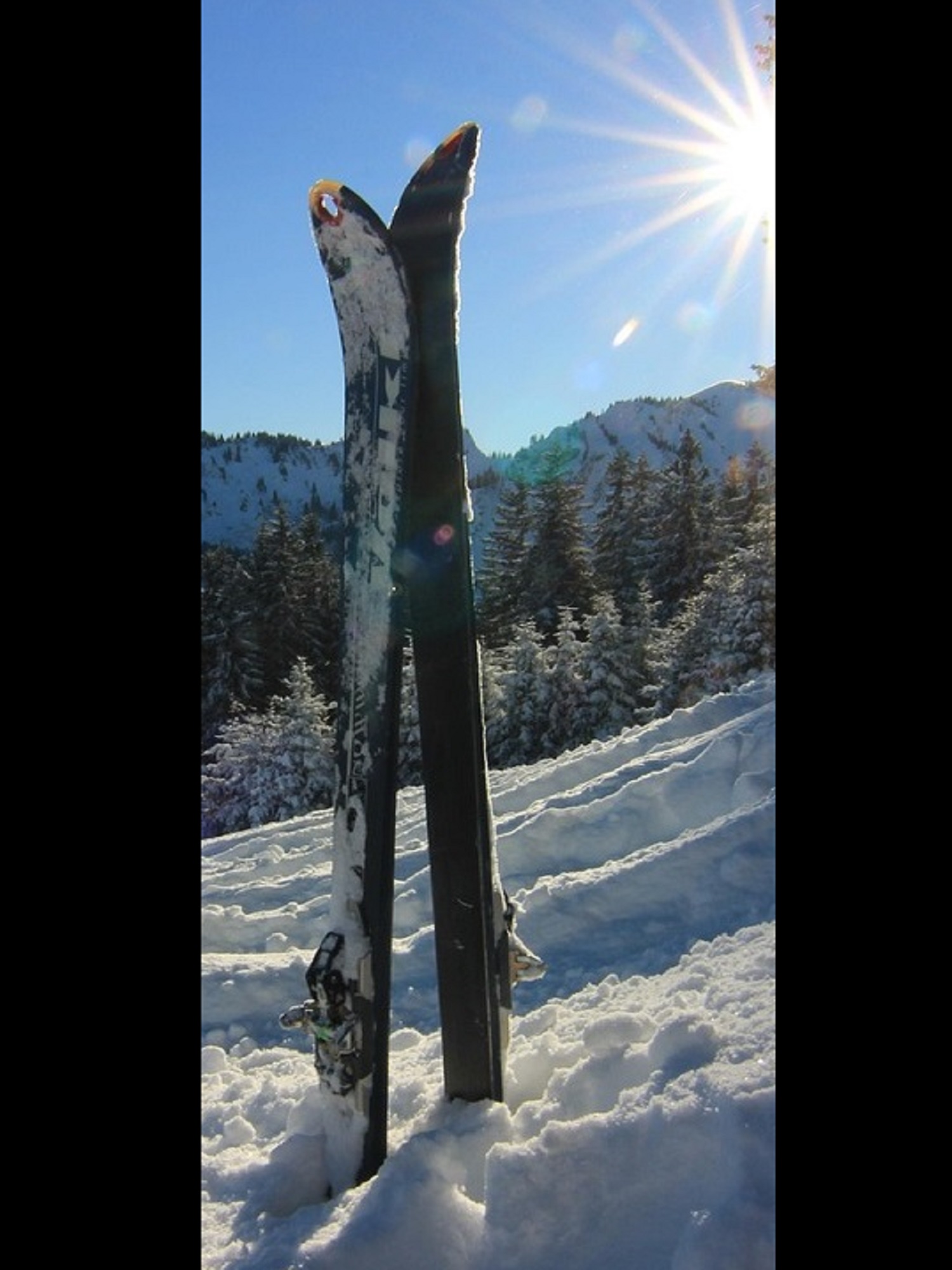 Volkl Quantum